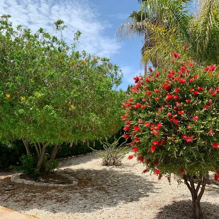 Perigiali Pissouri
